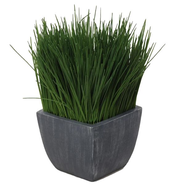 Potted Grass