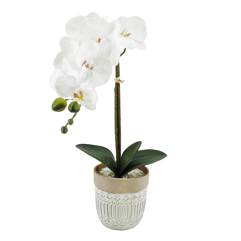 Silka Orchid