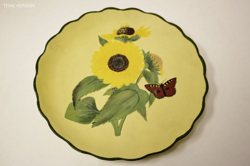 Plate Floral
