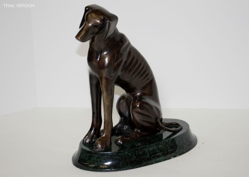Dog Bronze