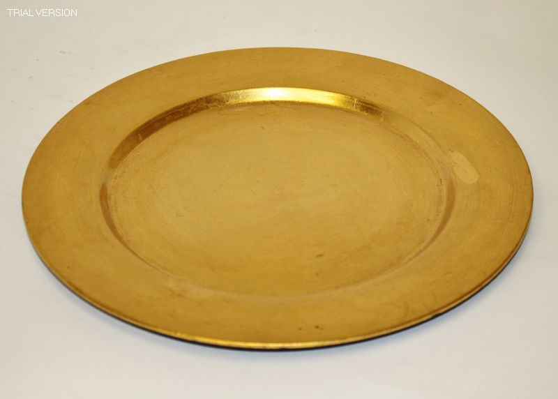 Plate Gold Charger