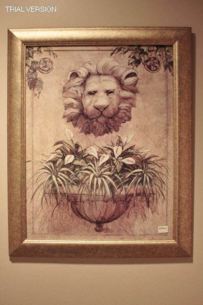 Lion Head & Urn