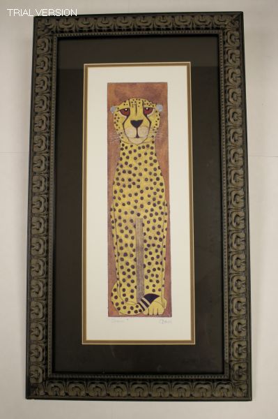 Oscar Cheeta