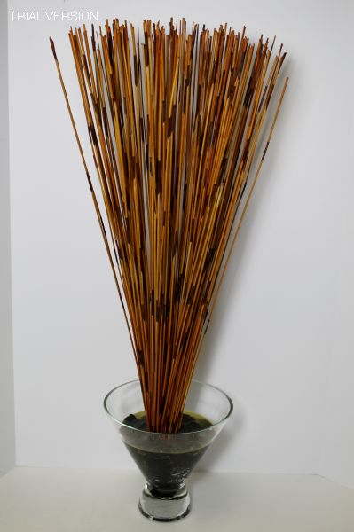 Orange/Brown Reeds In Glass Container