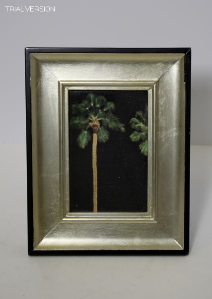 Picture Frame Contemporary