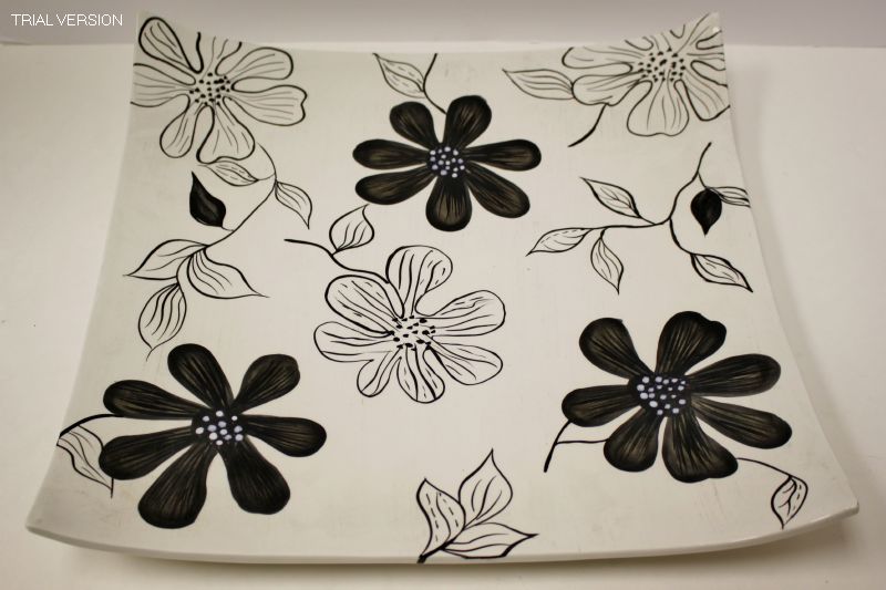 Flower Plate-b&w Large