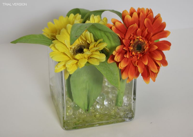 Yellow/Org Daisy - Sq Glass Vase