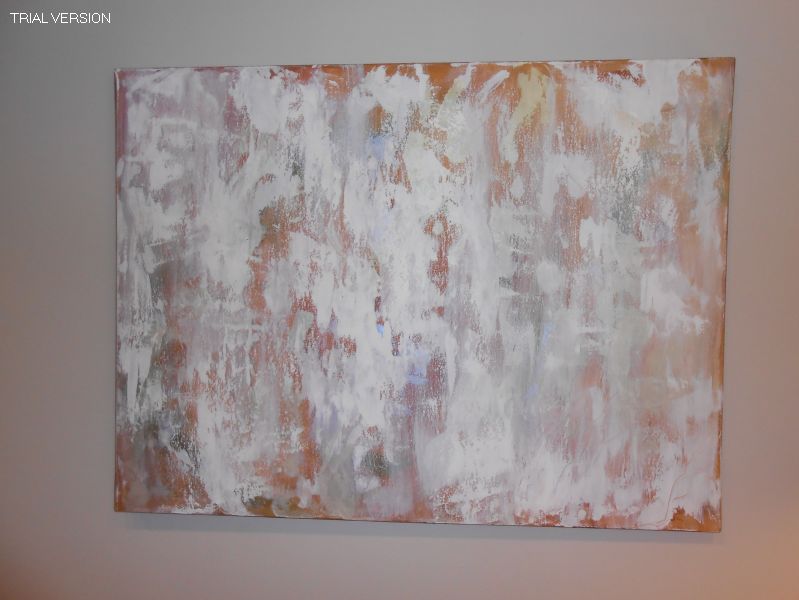 Canvas Abstract 48 X36