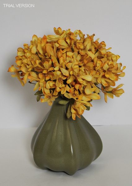 Green Gourd Pottery Vase W/ Golden Flowers