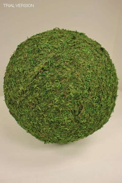 Green Moss Ball 12,