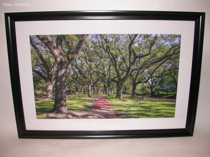 Cityscapes Print: North Boulevard
