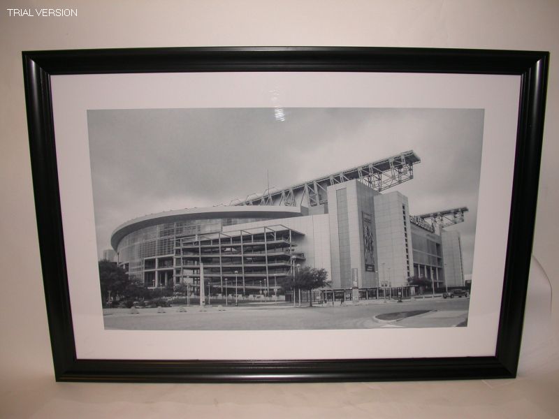 Cityscapes Print: Reliant Stadium