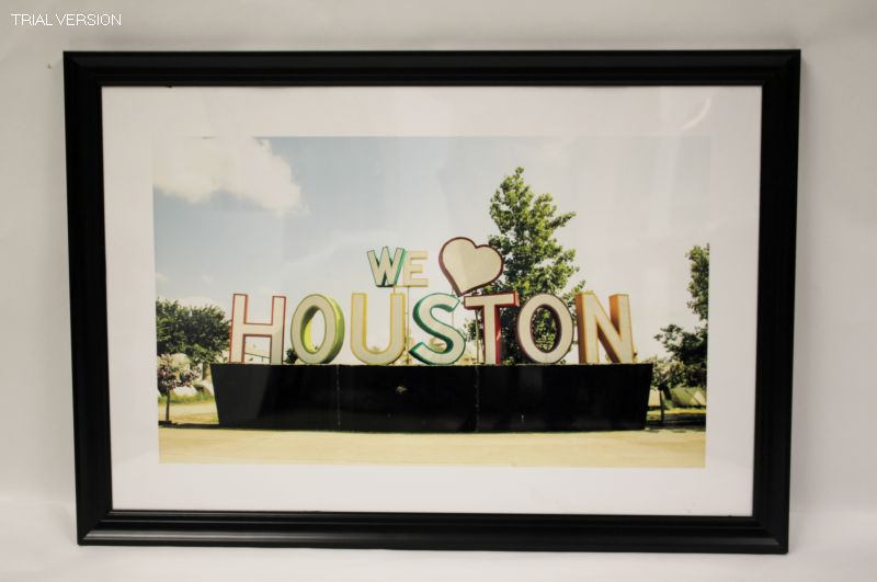 Cityscapes Print:  We Love Houston