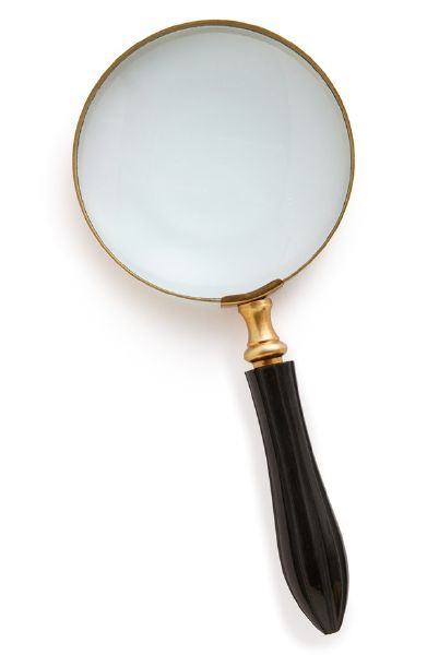Jeb Magnifying Glass