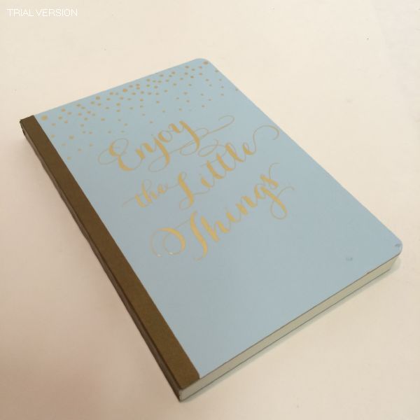 Enjoy The Little Things Notebook